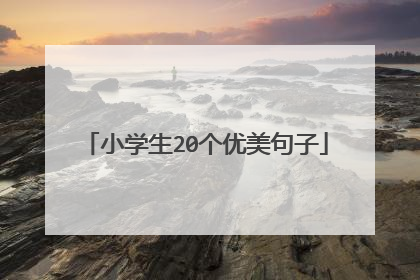 小学生20个优美句子