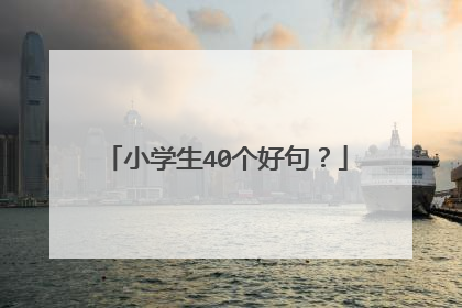小学生40个好句?