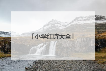 小学红诗大全