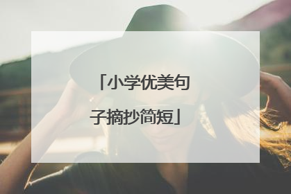 小学优美句子摘抄简短