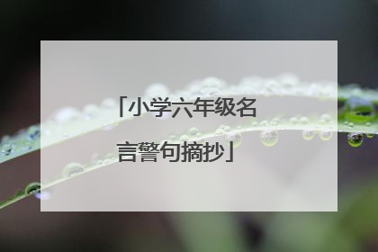小学六年级名言警句摘抄