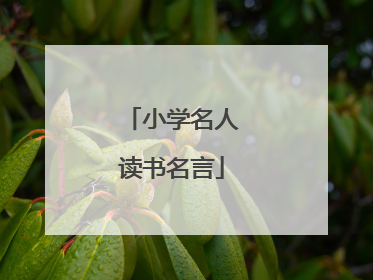 小学名人读书名言