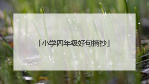 小学四年级好句摘抄