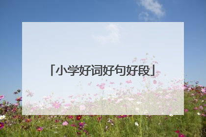 小学好词好句好段