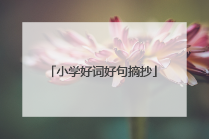 小学好词好句摘抄
