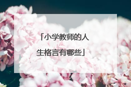 小学教师的人生格言有哪些