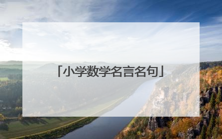 小学数学名言名句