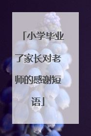小学毕业了家长对老师的感谢短语