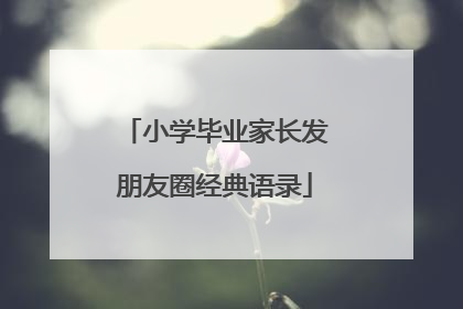 小学毕业家长发朋友圈经典语录