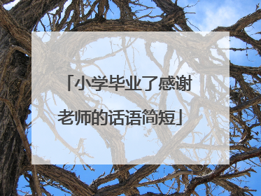 小学毕业了感谢老师的话语简短