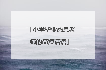 小学毕业感恩老师的简短话语