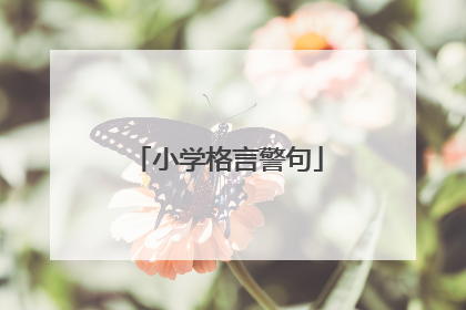 小学格言警句