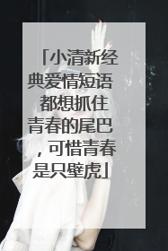 小清新经典爱情短语 都想抓住青春的尾巴,可惜青春是只壁虎
