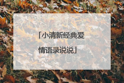 小清新经典爱情语录说说