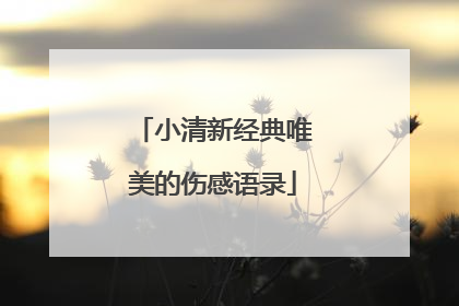 小清新经典唯美的伤感语录