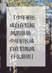 少年初长成自在恰如风的意思 少年初长成自在恰如风什么意思