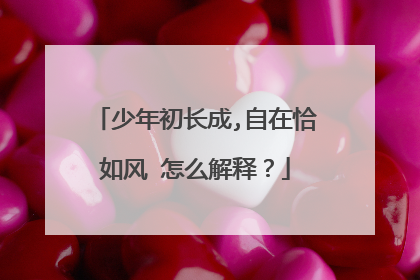 少年初长成,自在恰如风 怎么解释?