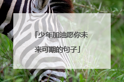 少年加油愿你未来可期的句子