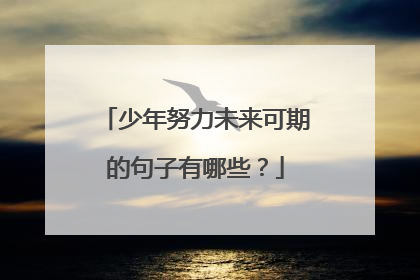 少年努力未来可期的句子有哪些?