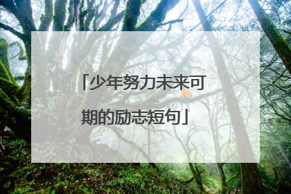 少年努力未来可期的励志短句