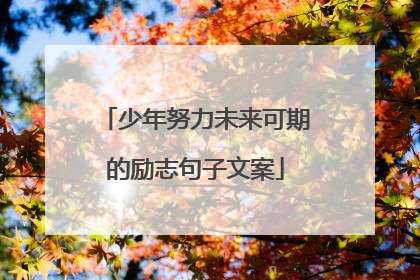 少年努力未来可期的励志句子文案