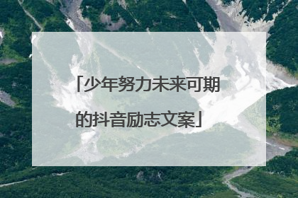 少年努力未来可期的抖音励志文案