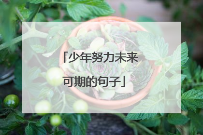 少年努力未来可期的句子