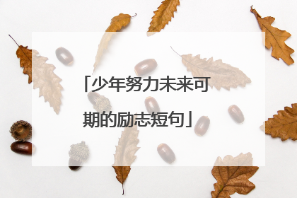 少年努力未来可期的励志短句