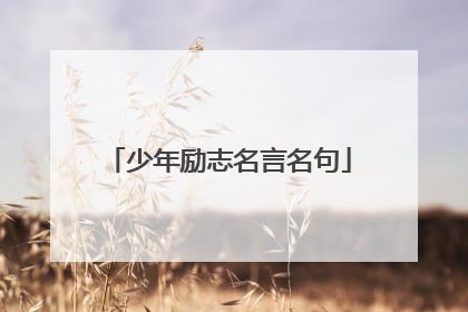少年励志名言名句