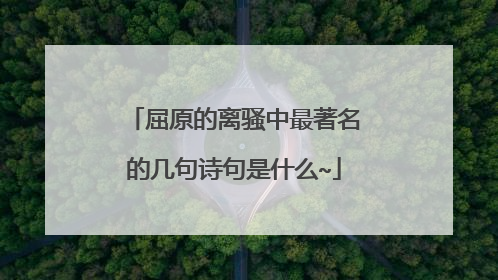 屈原的离骚中最著名的几句诗句是什么~