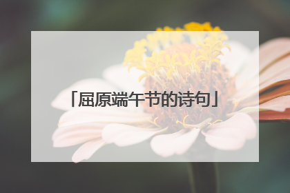 屈原端午节的诗句