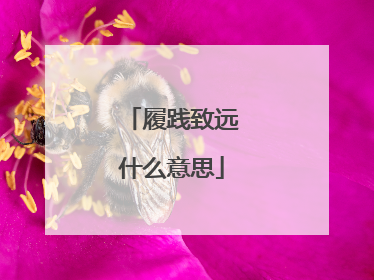 履践致远什么意思