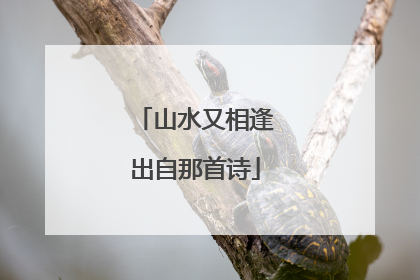 山水又相逢出自那首诗