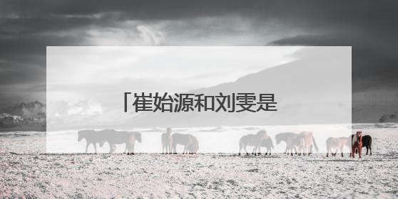 崔始源和刘雯是怎么认识的?