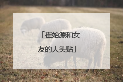 崔始源和女友的大头贴