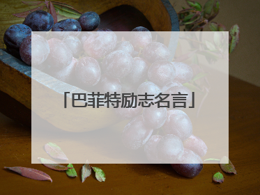 巴菲特励志名言
