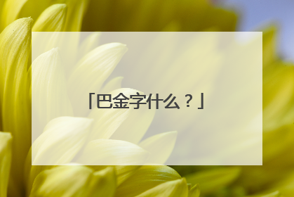 巴金字什么？