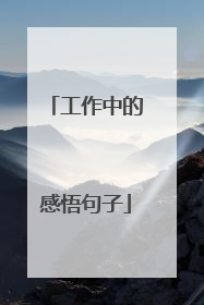 工作中的感悟句子