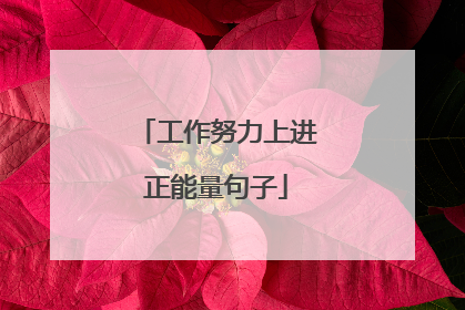 工作努力上进正能量句子