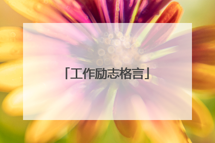 工作励志格言
