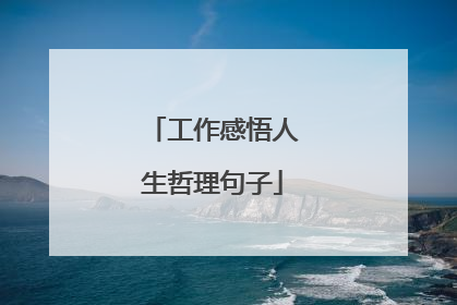 工作感悟人生哲理句子