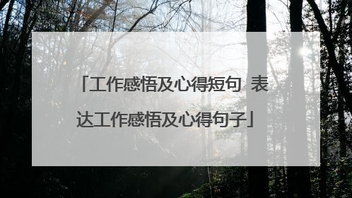 工作感悟及心得短句 表达工作感悟及心得句子