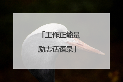 工作正能量励志话语录