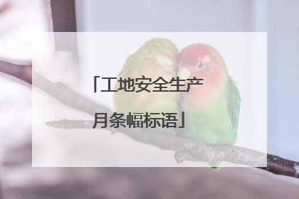 工地安全生产月条幅标语