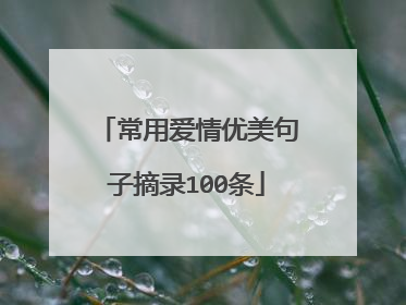 常用爱情优美句子摘录100条
