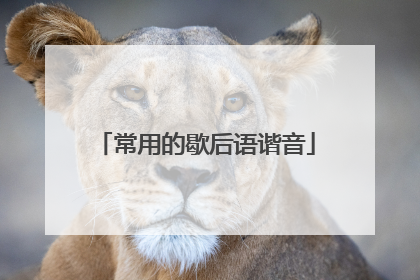 常用的歇后语谐音
