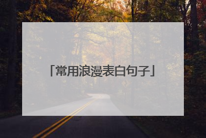 常用浪漫表白句子