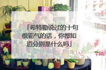 希特勒说过的十句很霸气的话,你都知道分别是什么吗