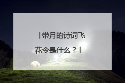 带月的诗词飞花令是什么?
