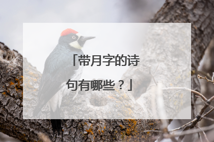 带月字的诗句有哪些?